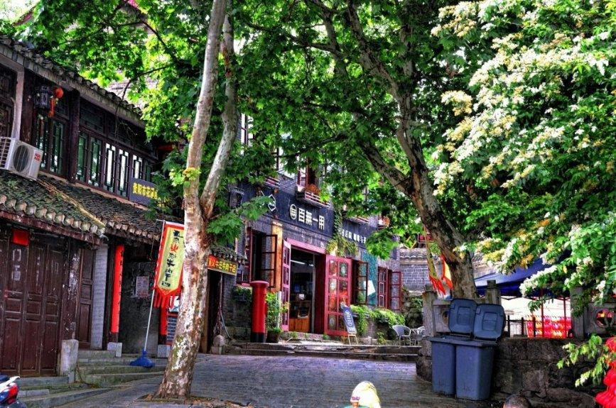 救援医学院学生